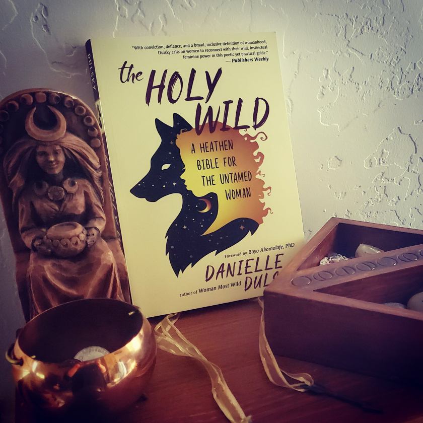 The Holy Wild by Dulsky